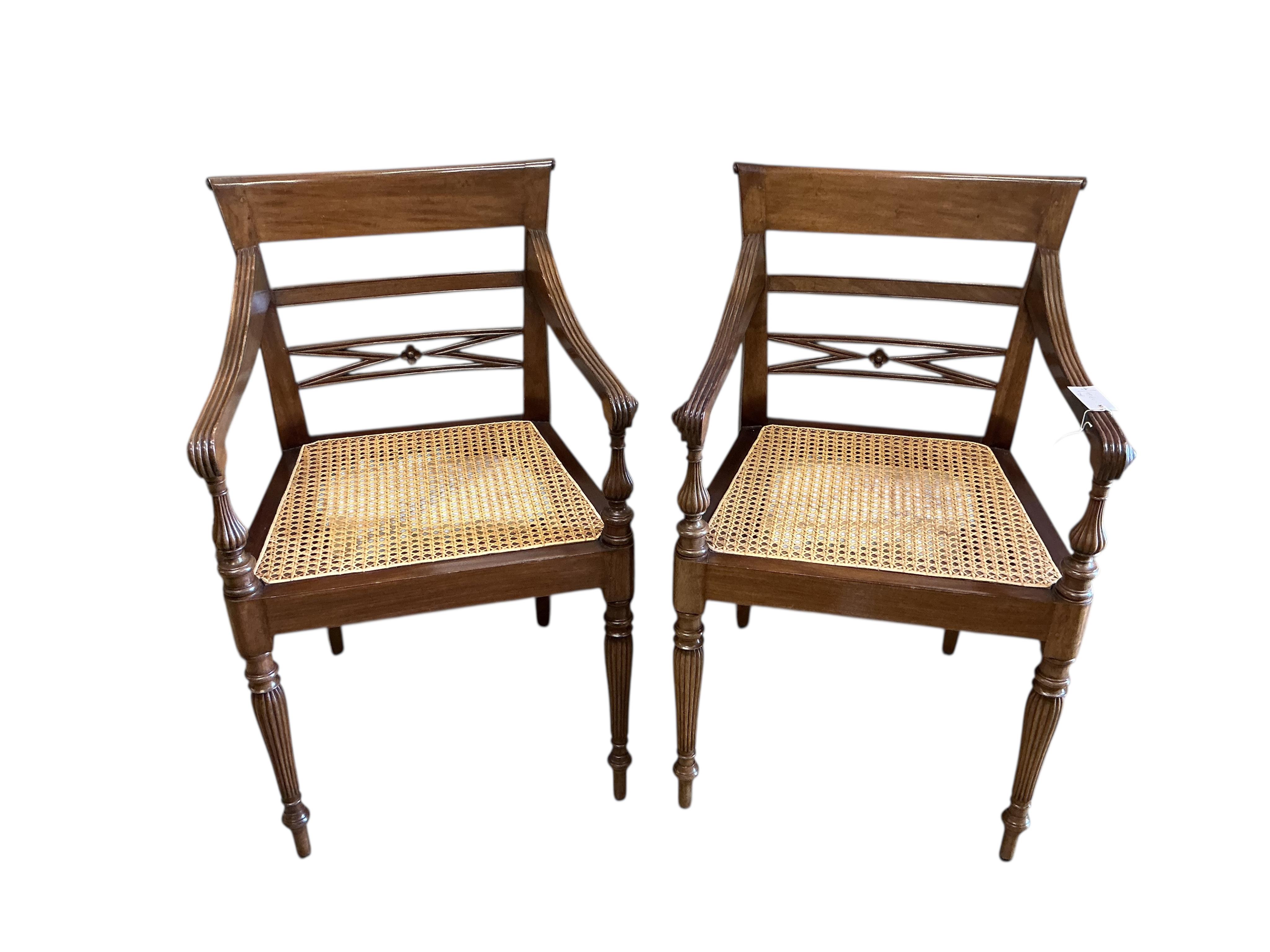 A pair of Regency style cane seat hardwood elbow chairs, width 54cm, depth 46cm, height 88cm